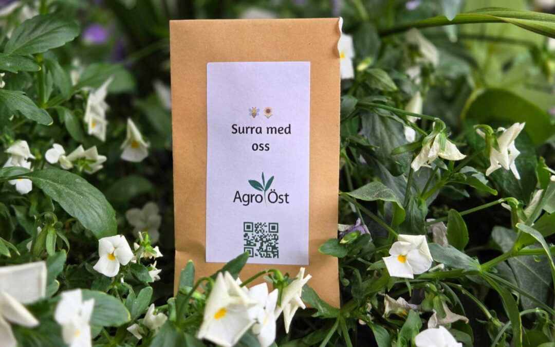 Kom och surra med oss på Brunnby!