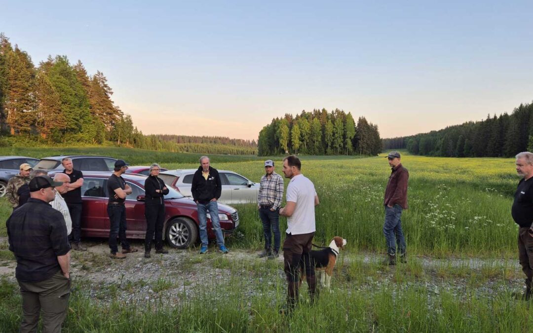 Viltträffar Sörmland