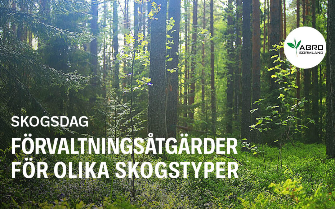 Skogsdag – Förvaltningsåtgärder för olika skogstyper
