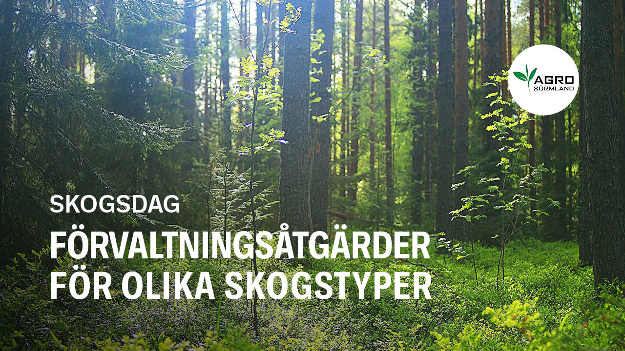 Skogsdag – Förvaltningsåtgärder för olika skogstyper