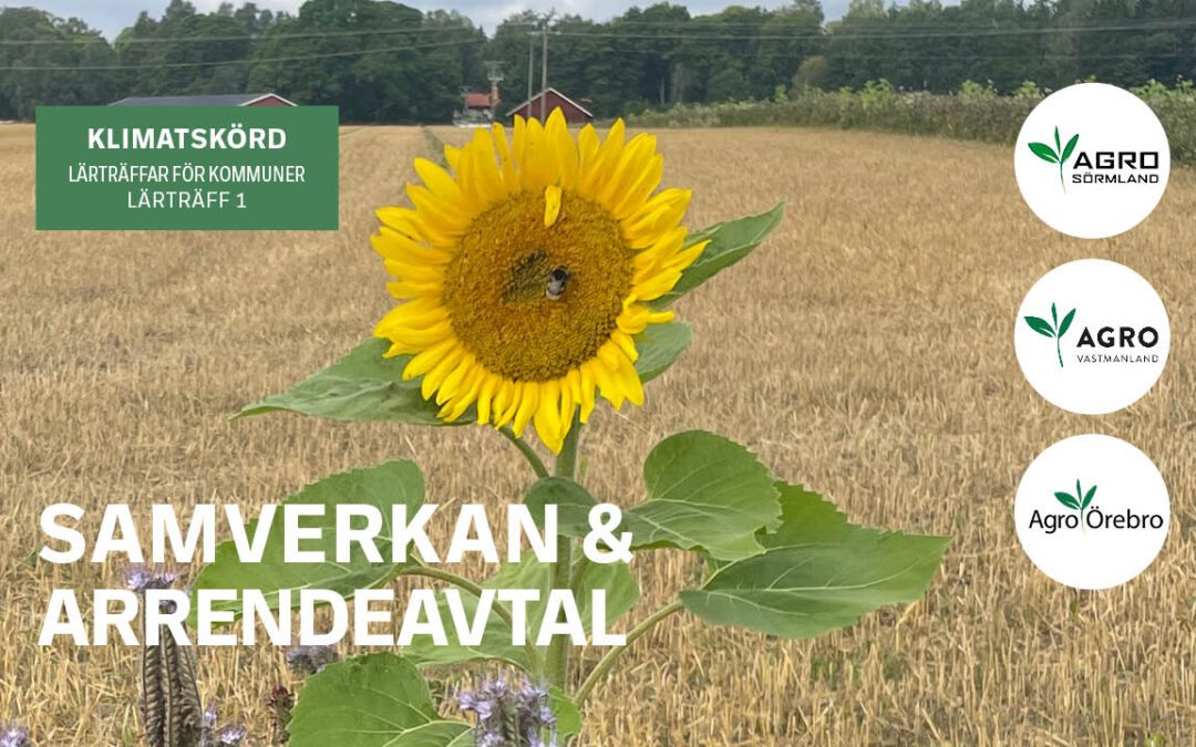 Lärträff 1, Samverkan & arrendeavtal