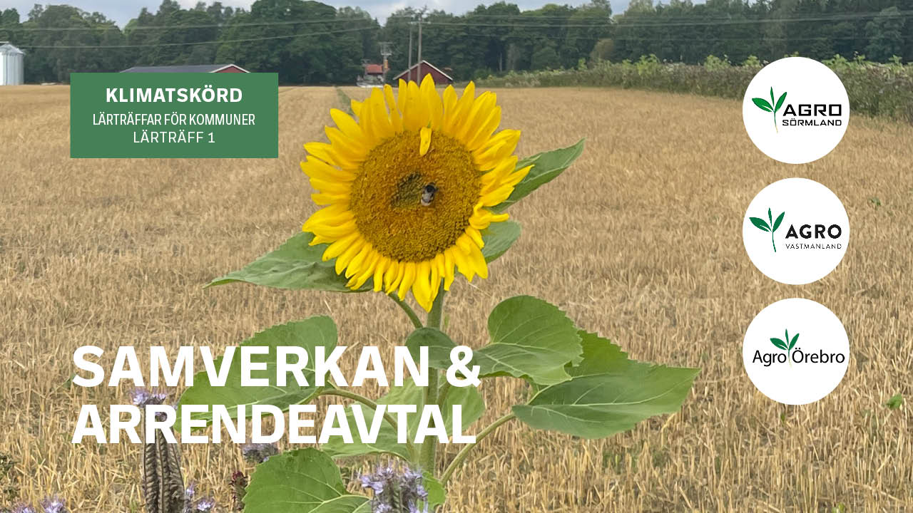 Lärträff 1, Samverkan & arrendeavtal