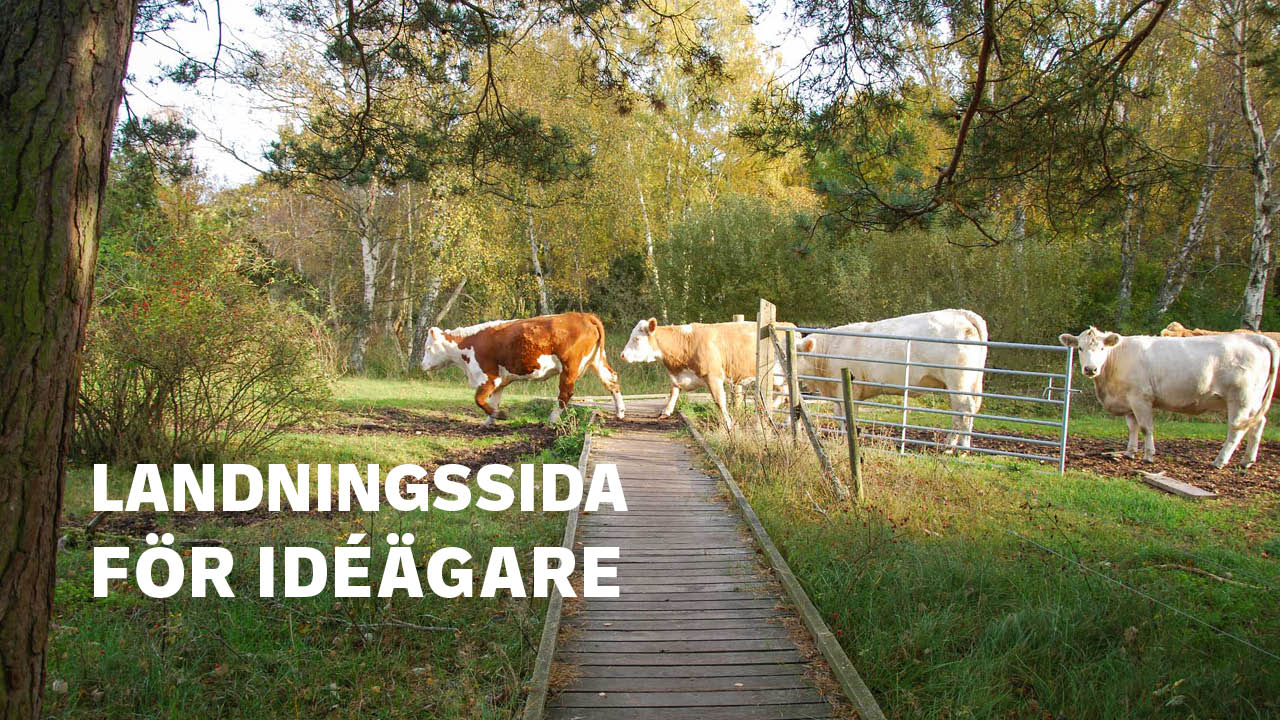 Gräsrot landningssida idéägare