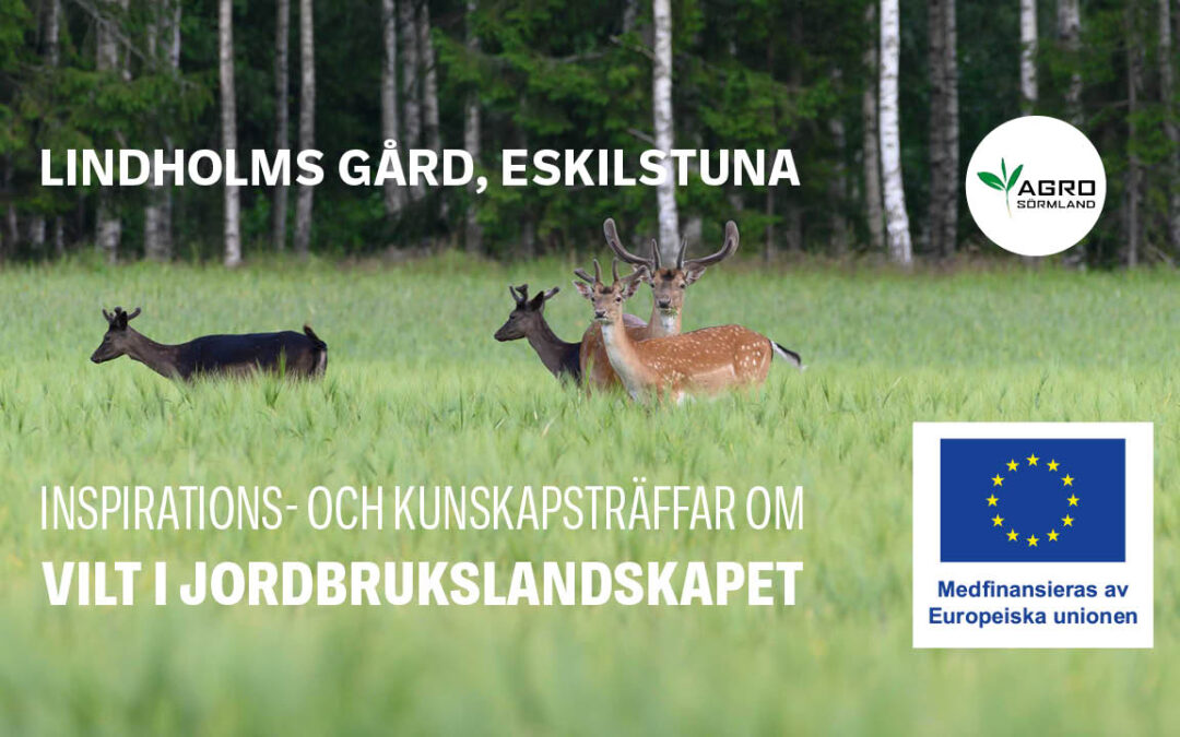 Vilt i jordbrukslandskapet