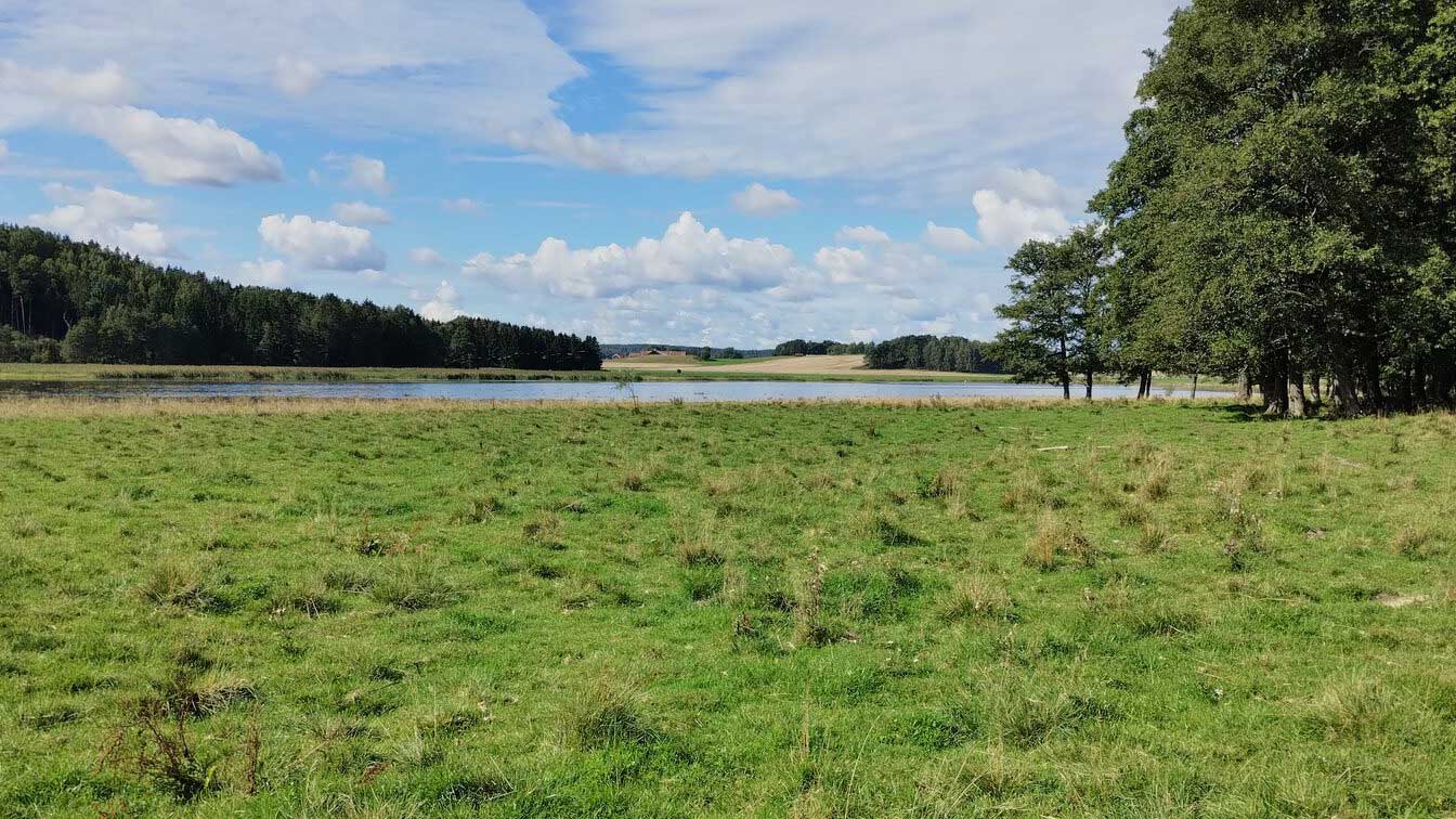 Foto: Nyköpingsåarnas Vattenvårdsförbund