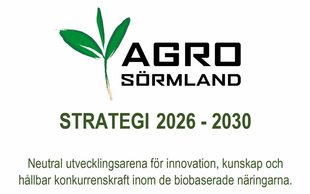 Uppdaterad strategi