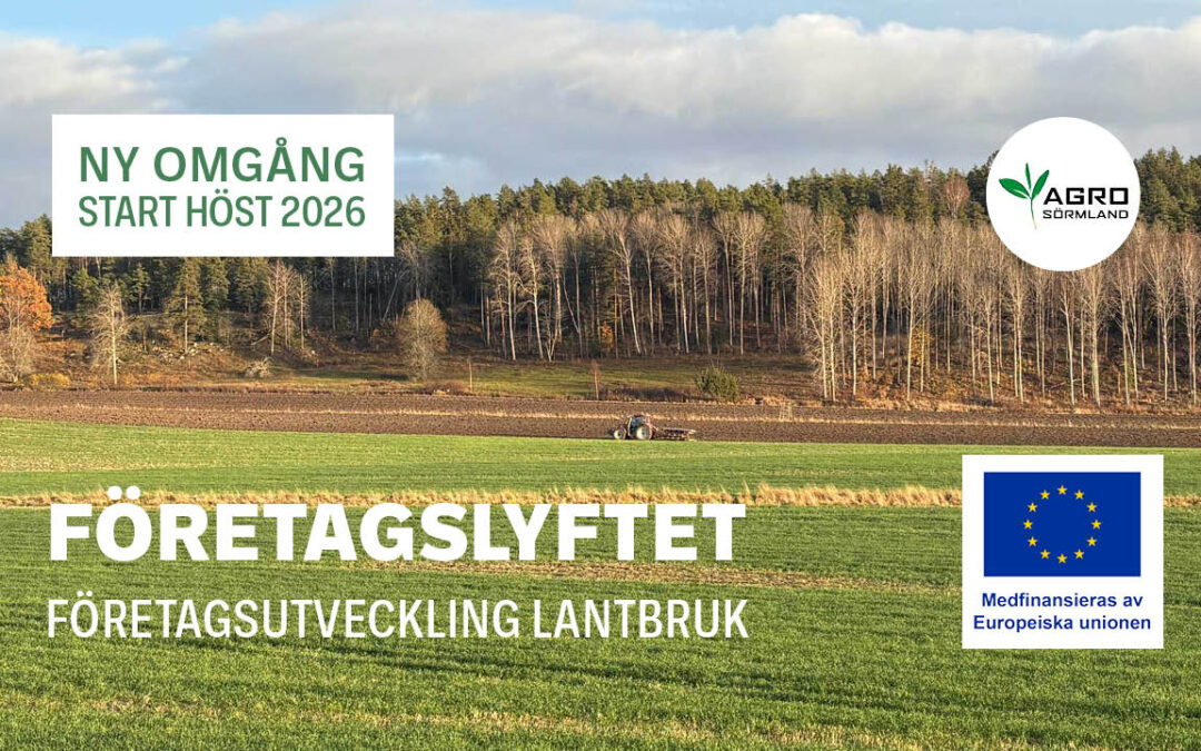 Företagslyftet omgång 2