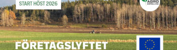 Företagslyftet omgång 2