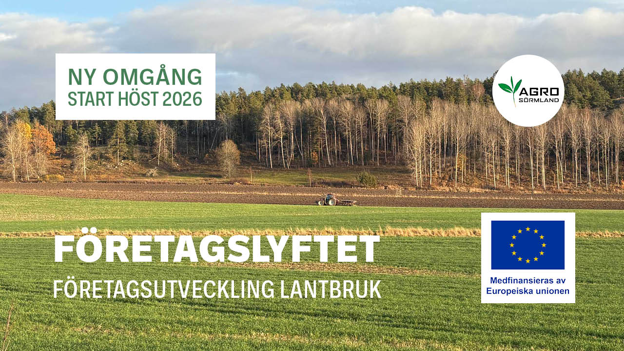Företagslyftet omgång 2
