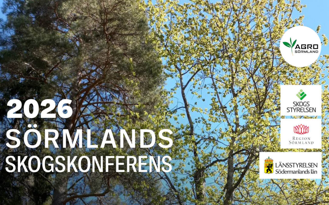 Förbered din skog för ett föränderligt klimat