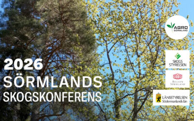 Programmet klart för årets skogskonferens