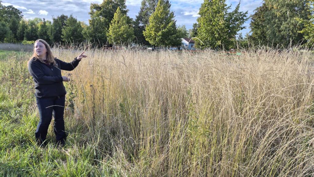 Samverkansmöte mellan Axfoundation och AgroÖst med noder!