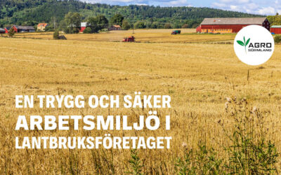 Seminarium om trygg arbetsmiljö
