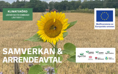 Inspelning från Lärträff 1 och inbjudan till Lärträff 2