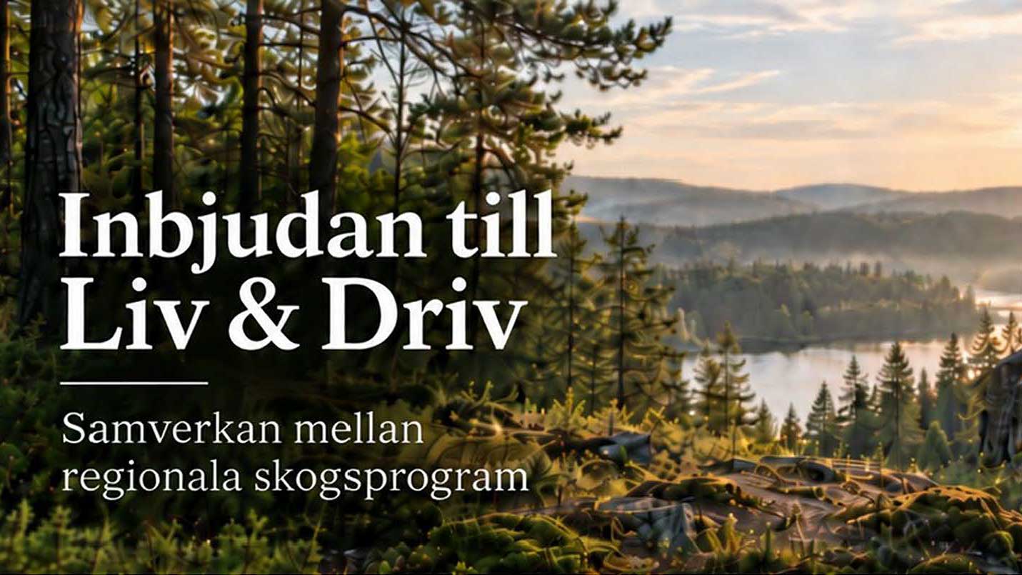 Liv & driv – samverkan mellan regionala skogsprogram